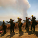 Illustration for article titled How Wildfires Are Fought And What You Can Do If One Threatens You